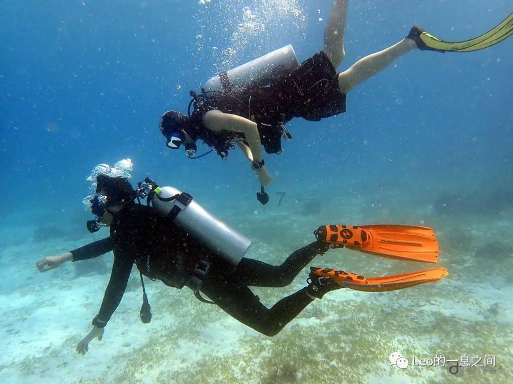 海盗寻宝记